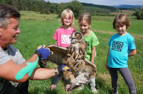 kam za zvířátky středočeský kraj|Zoo a zooparky aneb 10+ tipů, kam na výlet za zvířaty